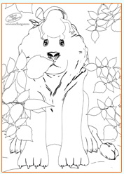 Ndbag The Boogeyman Colouring Sheets